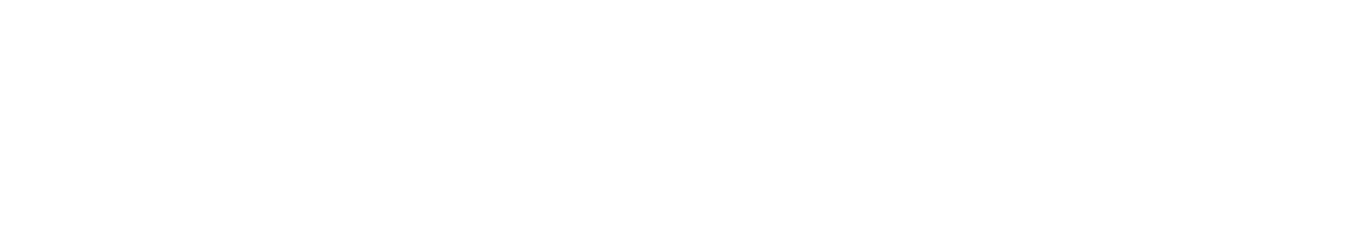 Mesoit