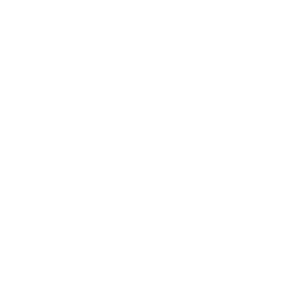 Mesoit